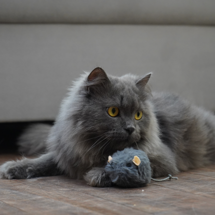 Skatrs Wiggle Mouse Toy for Cats (Grey)