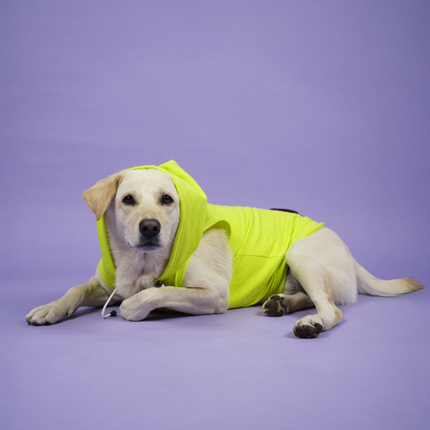 Skatrs Galaxy Breezy Vest with Pockets for Dogs and Cats (Green)
