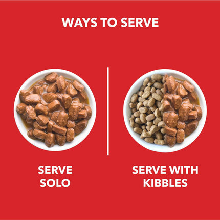 Drools Focus Super Premium Puppy Dry Food and Real Chicken & Chicken Liver Chunks in Gravy Puppy Wet Food Combo