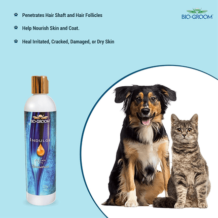 Bio Groom Indulge Sulfate Free Pure Argan Oil Shampoo for Dogs and Cats