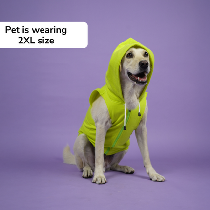 Skatrs Galaxy Breezy Vest with Pockets for Dogs and Cats (Green)