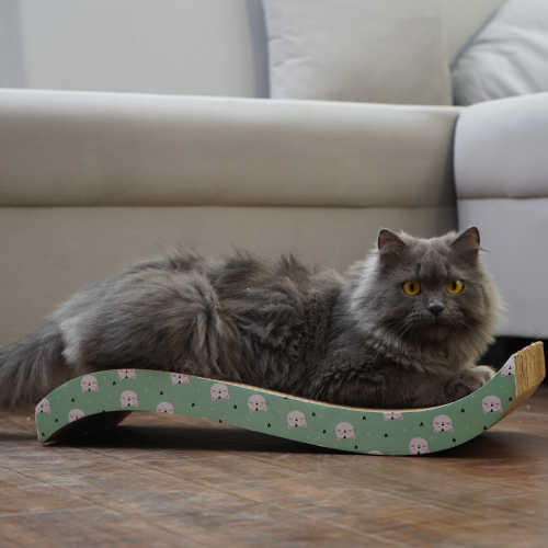 Skatrs Satisfying Wave Cat Scratcher with 2g Premium Catnip Free (Length 51cm)