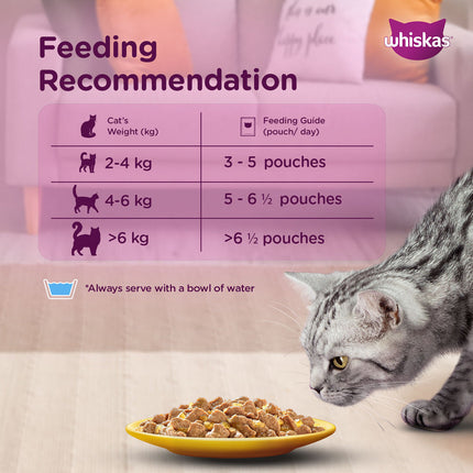 Whiskas Tuna in Jelly Meal and Ocean Fish Adult Cat Wet Food Combo