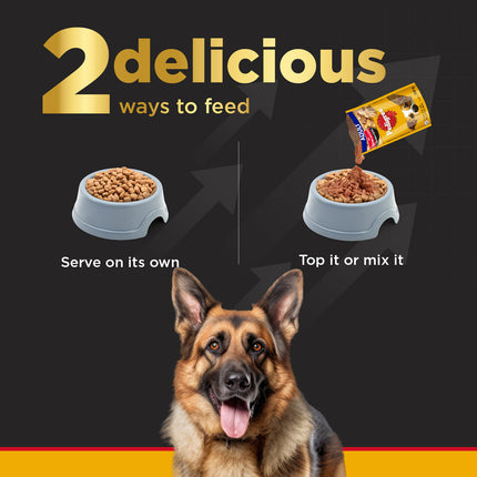 Pedigree PRO Expert Nutrition Active Adult (18 Months Onwards) Large Breed Dry Food and Dentastix Oral Care for Adult (Large Breed of 25 kg+) Treats Combo for Dogs