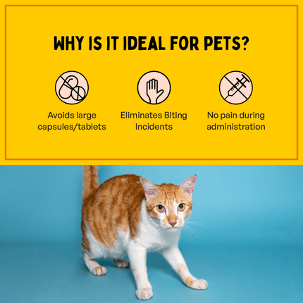 Me O Creamy Crab Treats and Furlicks Skin & Coat Supplement Combo for Cats
