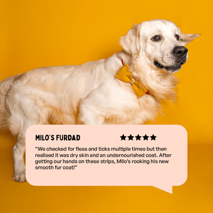 Furlicks Skin & Coat Supplement and Chip Chops Chicken and Codfish Rolls Treats Combo for Dogs