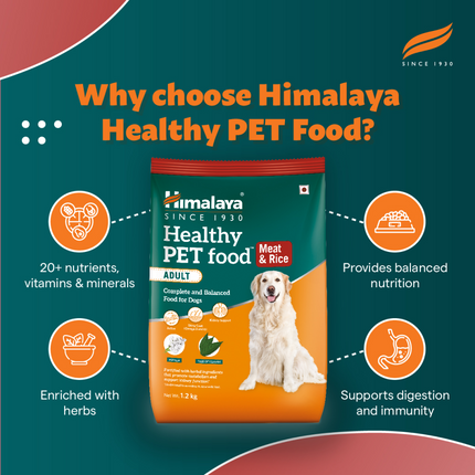 Himalaya Meat & Rice Healthy Pet Dry Food and Chicken Healthy Treats Adult Dog Combo