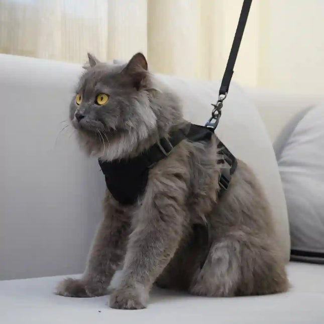 Skatrs Harness with Leash for Cats (Black)