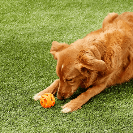 Chuckit! Breath Right Fetch Toy for Dogs | For Medium Chewers