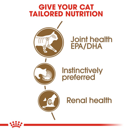 Royal Canin Ageing +12 Adult Cat Wet Food
