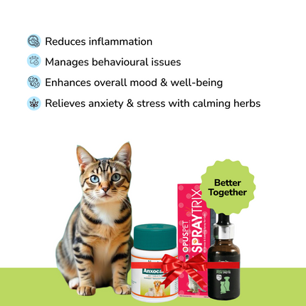 Anxiety Relief Combo Superkit for Cats