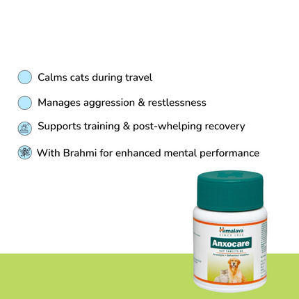 Anxiety Relief Combo Superkit for Cats