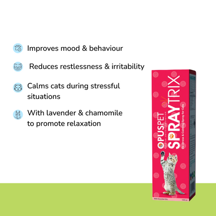 Anxiety Relief Combo Superkit for Cats