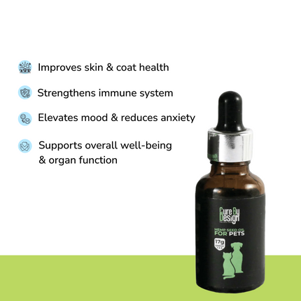 Anxiety Relief Combo Superkit for Cats