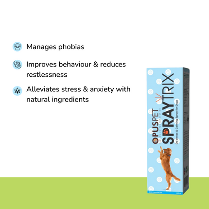Anxiety Relief Combo Superkit for Dogs