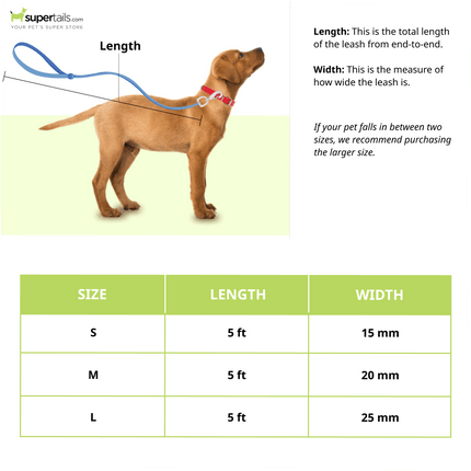 A Plus A Pets Skin Friendly Gradient Design Leash for Dogs (5ft, Pink)