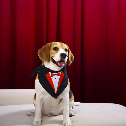 Dogobow Tuxedo Printed Bandana for Dogs (Black/White)