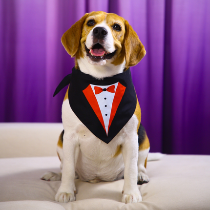 Dogobow Tuxedo Printed Bandana for Dogs (Black/White)