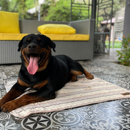 Petter World Multipurpose Breathable Summer Mat for Dogs (Brown Stripes)