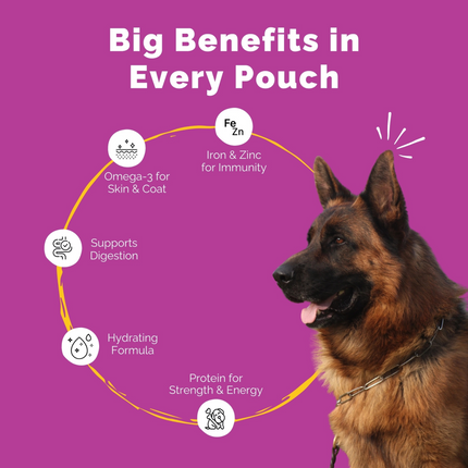 PetStrong Chicken and Egg & Chicken Liver in Gravy Wet Food for Dogs Combo
