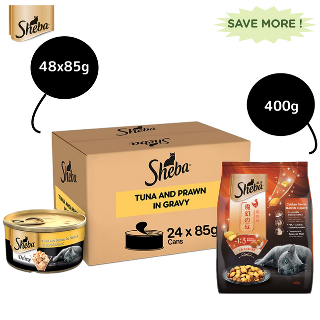 Sheba Tuna Fillet & Whole Prawns in Gravy Premium Cat Wet Food and Chicken Flavour Irresistible All Life Stage Cat Dry Food Combo