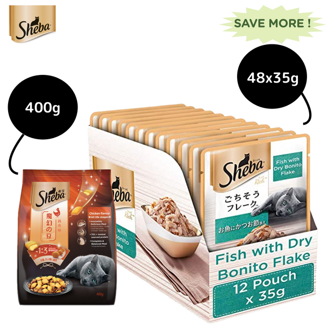 Sheba Fish with Dry Bonito Flake Premium Cat Wet Food and Chicken Flavour Irresistible All Life Stage Cat Dry Food Combo
