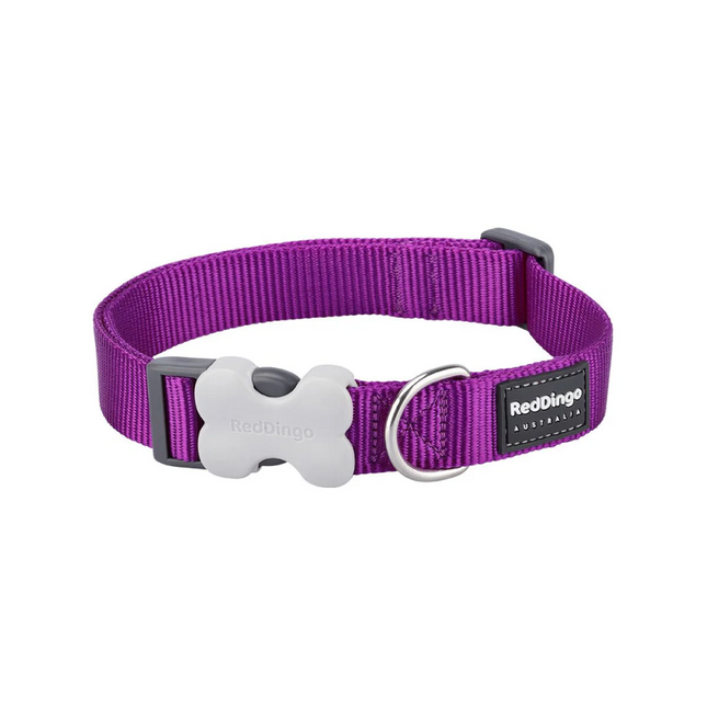 Red Dingo Classic Collar for Dogs (Purple)