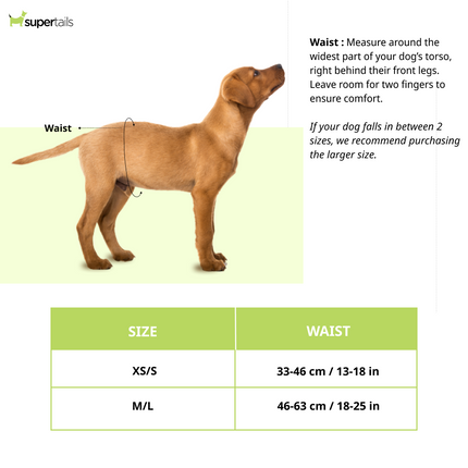 OUT! Disposable Diapers for Male Dog (33x46cm)