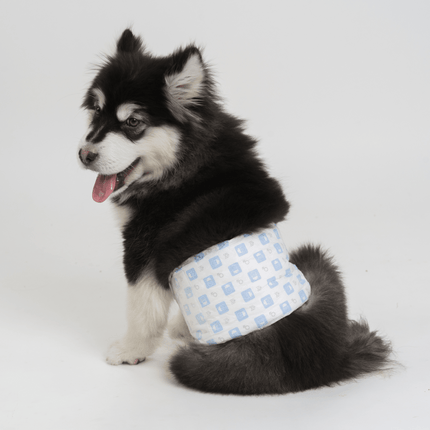 Fofos Diaper for Male Dog (20x25cm)