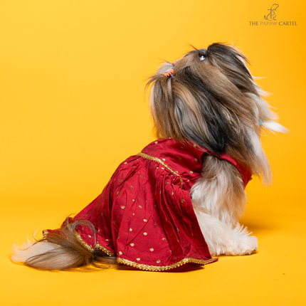 The Papaw Cartel Desi Girl in Banarasi Polka Dot Gown for Dogs (Red)