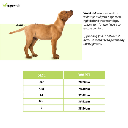 Trixie Female Diapers for Dogs (36x52cm)
