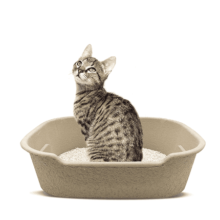 Fofos Disposable Litter Box for Cats (Beige)