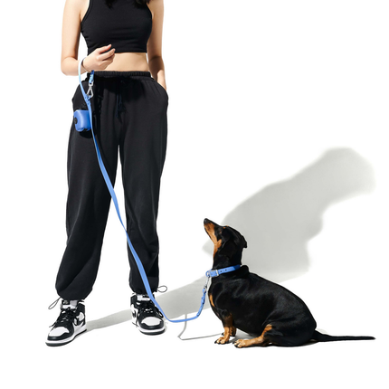 Furry & Co Weatherproof Leash for Dogs (Everest Blue)