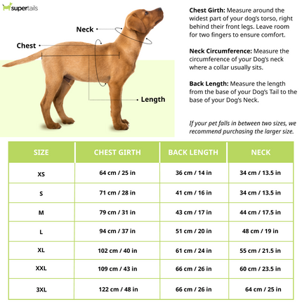 15buttons Jungle Gym Shirt for Dogs