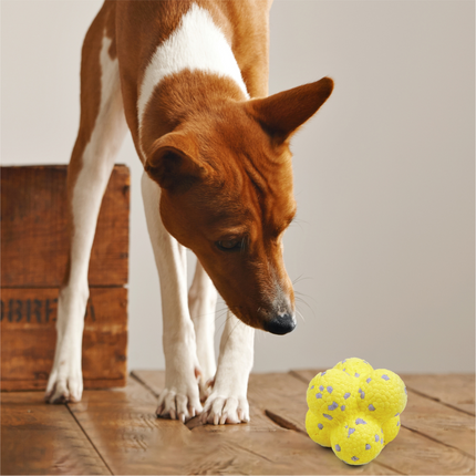 Fofos Ultra Durable Ball Toy for Dogs (Yellow)