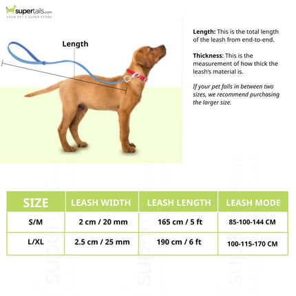 Furry & Co Weatherproof Leash for Dogs (Everest Blue)
