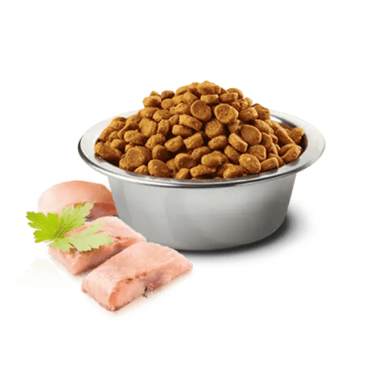 Farmina N&D Prime Chicken & Pomegranate and Ocean Herring & Orange Grain Free Adult Cat Dry Food Combo