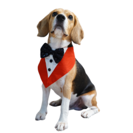 Floof & Co Tux Bandana Triangle for Dogs (Red)