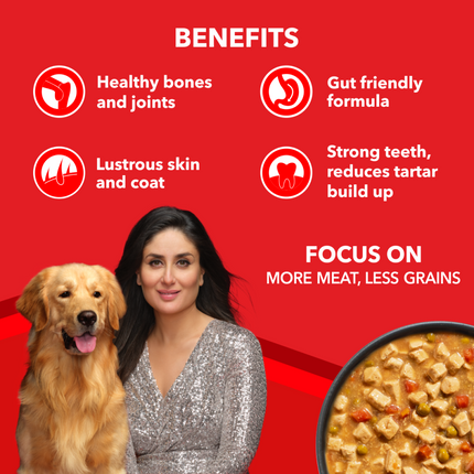 Drools Focus Real Chicken & Chicken Liver Chunks in Gravy Adult Dog Wet Food