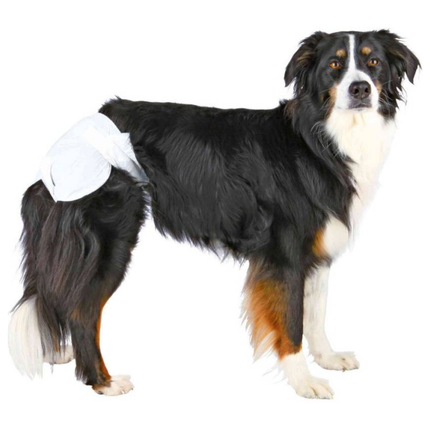 Trixie Female Diapers for Dogs (36x52cm)