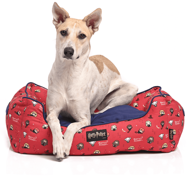 Harry Potter Friends of Harry Potter Bed for Pets