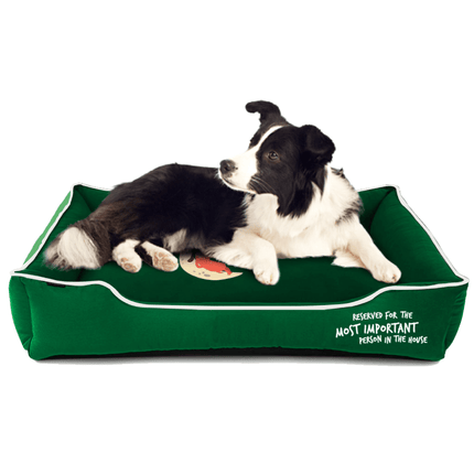 Captain Zack Dream Bedzzz for Dogs (Green)