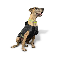 Collection image for: Dog Raincoat