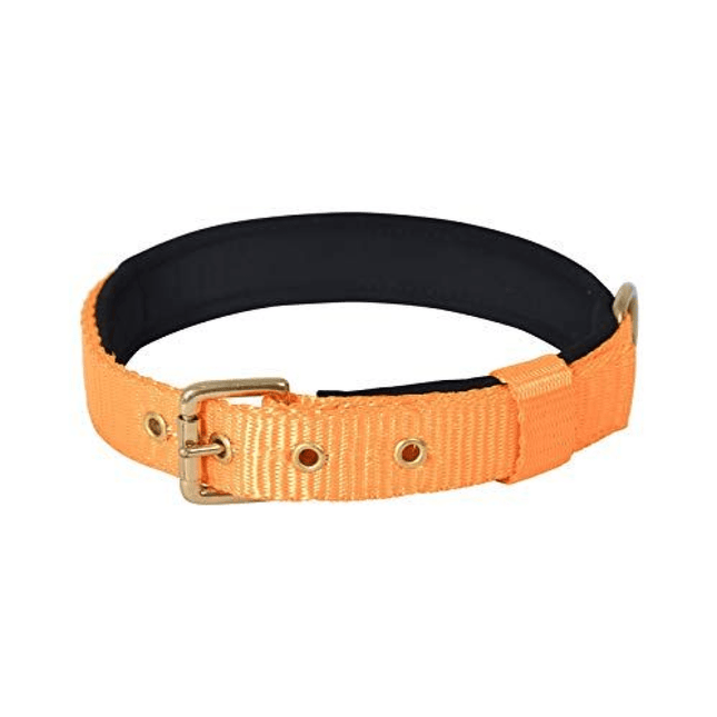 Glenand Petz Pure Nylon Padded Collar for Dogs (1 inches)
