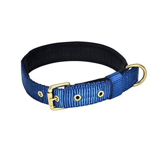 Glenand Petz Pure Nylon Padded Collar for Dogs (3/4 inches)