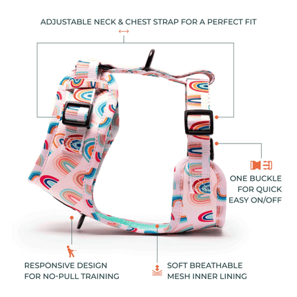 Furry & Co Raining Rainbow No Pull Harness for Dogs