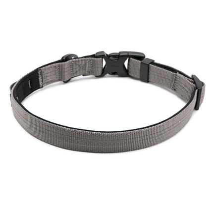 Truelove Padded Collar for Dogs (Grey)