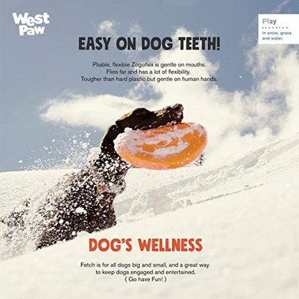 West Paw Design Glow in the Dark Zisc for Dogs (Assorted)