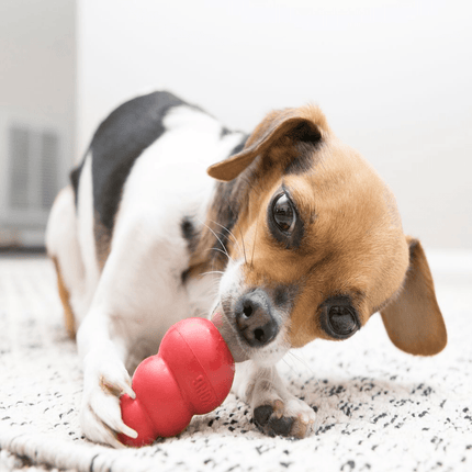 Kong Classic Toy for Dogs (Red) | For Aggressive Chewers