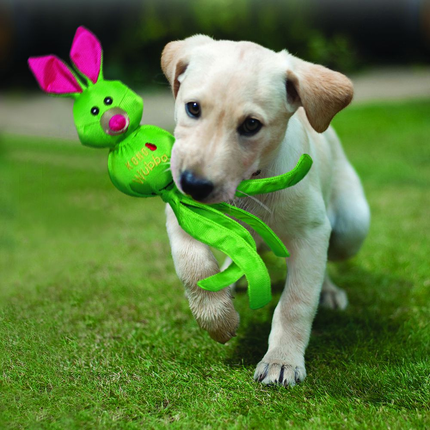 Kong Wubba Friends Toy for Dogs (Green)